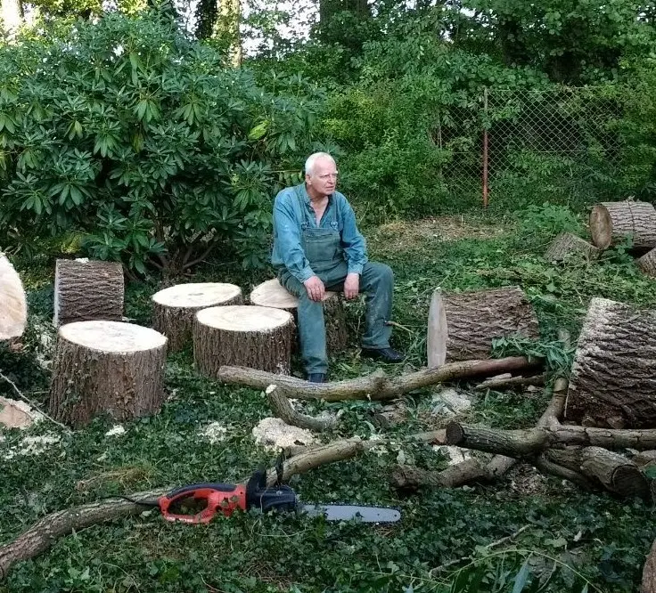 Holz sägen