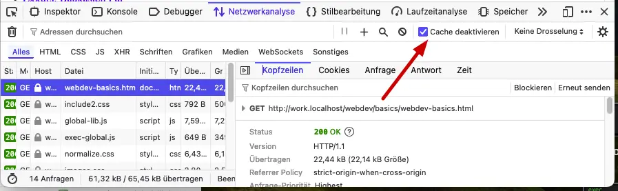 Bild: Netzwerk Reiter mit Übersicht der Calls links und Details auf der rechten Seite. Oben Cache Checkbox.